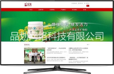 网站设计图片|网站设计样板图|网站设计效果图片_北京国智信联科技西安分公司